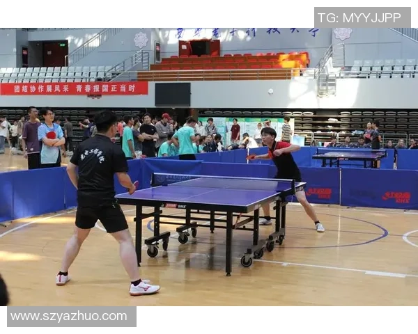 乒乓球的力量与坚持：深入了解西安乒乓球队的训练与耐力之道